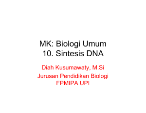 05.sintesis DNA [Compatibility Mode]