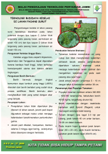 TEKNOLOGI BUDIDAYA KEDELAI DI LAHAN PASANG SURUT