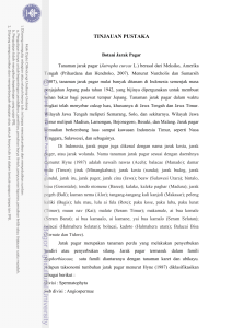 tinjauan pustaka