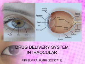 drug delivery system intraocular