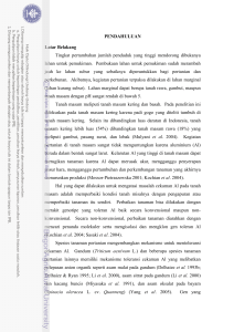 Isolation And Characterization Of An Aluminum Tolerance Gene In