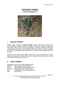 alpukat / avokad - Dinas Tanaman Pangan Hortikultura dan