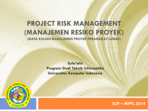 project risk management (manajemen resiko