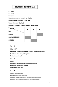 nutrisi tumbuhan
