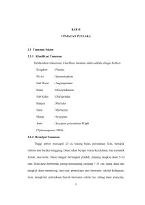 5 BAB II TINJAUAN PUSTAKA 2.1 Tanaman Salam 2.1.1 Klasifikasi