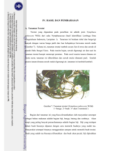 Analisis Potensi Biji dan Umbi Teratai (Nymphaea