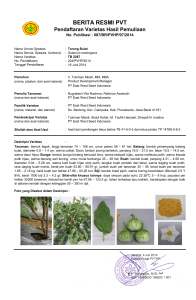 87. EWSI-Terong Bulat-TB 2287 - Pusat Perlindungan Varietas