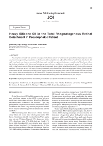 Heavy Silicone Oil in the Total Rhegmatogenous