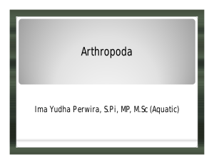Arthropoda - Ima Yudha Perwira