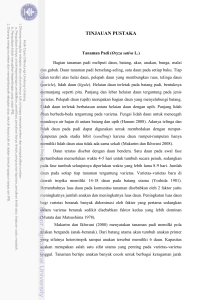 tinjauan pustaka