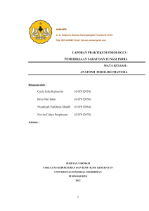 LAPORAN PRAKTIKUM FISIOLOGI 3 : PEMERIKSAAN SARAF DAN