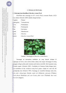 2 TINJAUAN PUSTAKA 2.1 Deskripsi dan