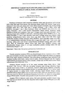 IMUNITAS VAKSIN MATI MYCOPLASMA GALLISEPTICUM