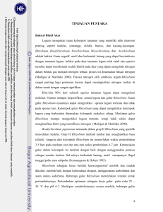 Inokulan Bradyrhizobium japonicum Toleran Asam