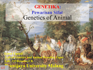 Genetics of Animal - Animal Genetics, Breeding, Reproduction
