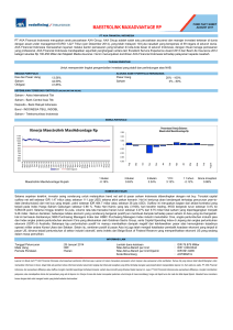 Maestrolink MaxiAdvantage IDR