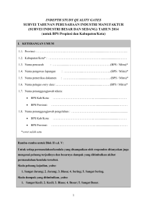 SURVEI INDUSTRI BESAR DAN SEDANG