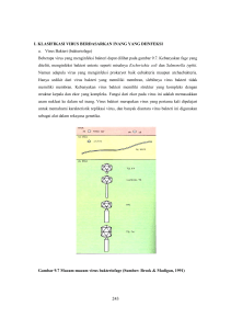 BAB 9C - Direktori File UPI