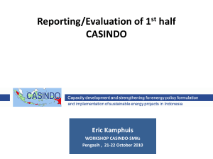 Reporting/Evaluation of 1st half CASINDO WP3