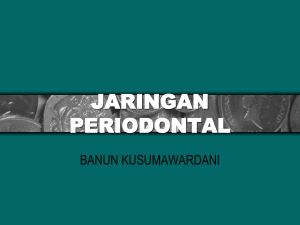 jaringan periodontal