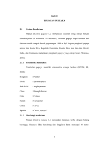 BAB II TINJAUAN PUSTAKA 2.1 Uraian Tumbuhan Pepaya (Carica