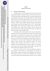 Aplikasi Contingent Choice Modelling (CCM