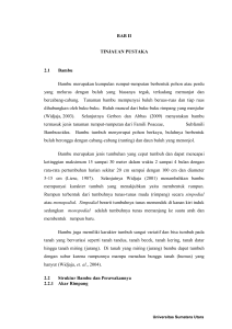 BAB II TINJAUAN PUSTAKA 2.1 Bambu Bambu merupakan