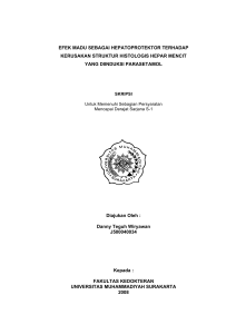 EFEK MADU SEBAGAI HEPATOPROTEKTOR TERHADAP