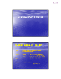 Corpus Alienum di Hidung