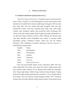 (Capsicum frutescens L.) Cabai rawit (Capsicum frutescens L.)