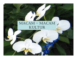 macam - macam kultur