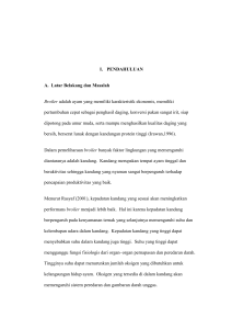 I. PENDAHULUAN A. Latar Belakang dan Masalah Broiler adalah