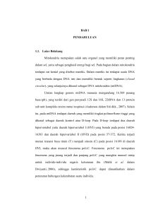 1 BAB I PENDAHULUAN 1.1. Latar Belakang Mitokondria
