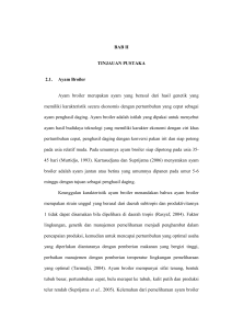 3 BAB II TINJAUAN PUSTAKA 2.1. Ayam Broiler