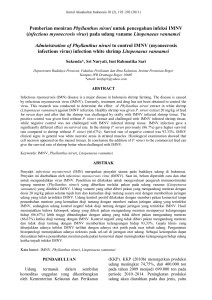 infectious myonecrosis virus