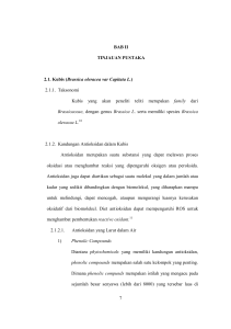 BAB II TINJAUAN PUSTAKA 2.1. Kubis (Brassica