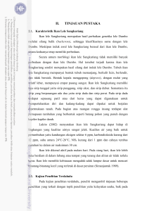 ii. tinjauan pustaka