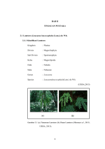 (Leucaena leucocephala (Lam.))
