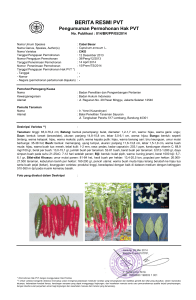 berita resmi pvt - Pusat Perlindungan Varietas Tanaman dan