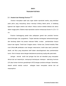 BAB II TINJAUAN PUSTAKA 2.1. Anatomi dan Histologi Ovarium 6,8