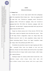 BAB II TINJAUAN PUSTAKA 2.1 Rumput Laut