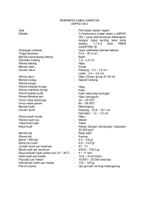 DESKRIPSI CABAI VARIETAS UNPAD CB 2 Asal : Pemuliaan