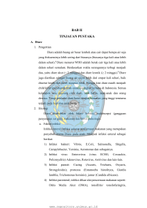 bab ii tinjauan pustaka