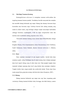 II. TINJAUAN PUSTAKA 2.1. Morfologi Tanaman