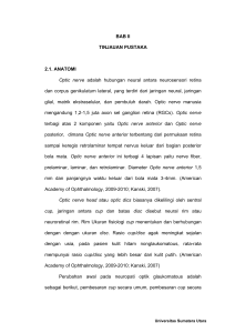 BAB II TINJAUAN PUSTAKA 2.1. ANATOMI Optic nerve adalah