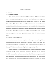 II. TINJAUAN PUSTAKA 2.1 Mikoriza 2.1.1 Pengenalan Mikoriza