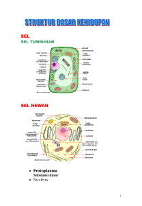 sel sel hewan - d`CokLaD blog