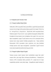 II. TINJAUAN PUSTAKA 2.1 Pemupukan pada Tanaman Tomat 2.1