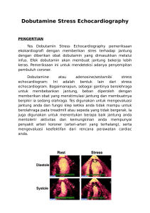 Dobutamine Stress Echocardiography