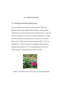 8 II. TINJAUAN PUSTAKA 2.1 Morfologi dan Taksonomi Tanaman